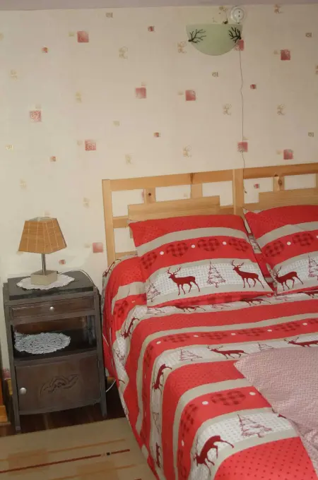 Studio confortable avec vue sur le lac - 30 m² - Gérardmer - Photo 5