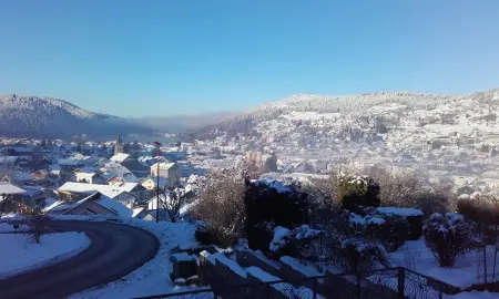 Studio confortable avec vue sur le lac - 30 m² - Gérardmer - Photo 9