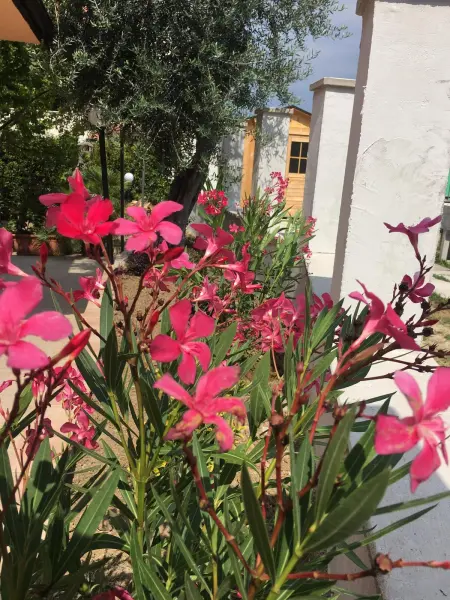 Maison chaleureuse à Chieti avec jardin privé, Maison 2 personnes à Chieti - Photo 25