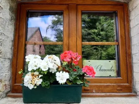 Maison charmante à Scy, Hamois avec jardin clos - Photo 23