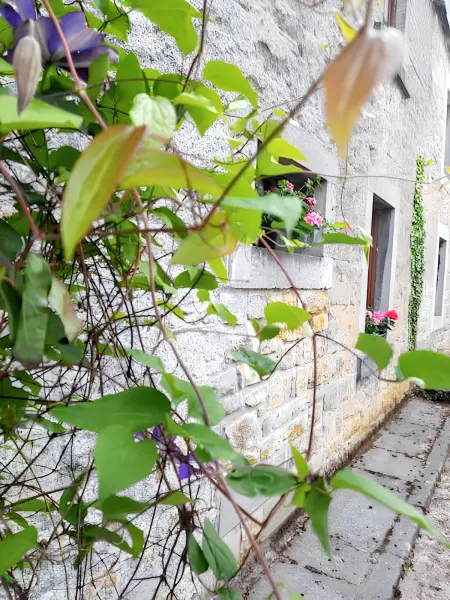 Maison charmante à Scy, Hamois avec jardin clos - Photo 28