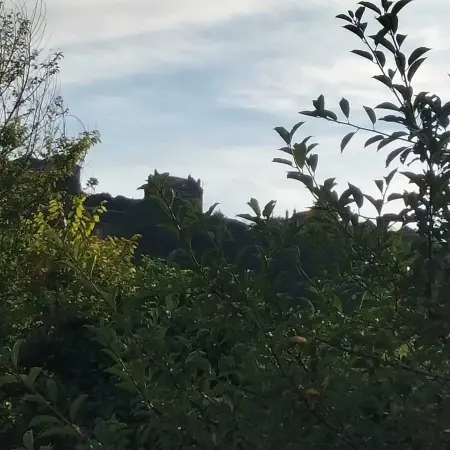 Maison charmante à Saint-Satur avec jardin et terrasse - Photo 10
