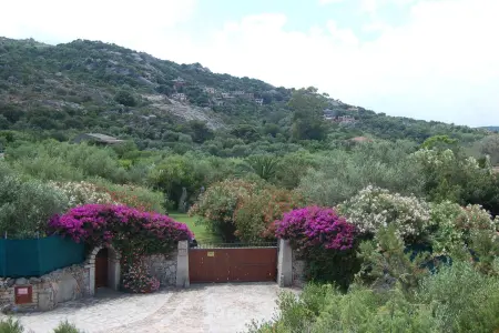 Studio charmant à Olbia avec jardin, 35 m², Appartement 2 personnes à Olbia - Photo 13