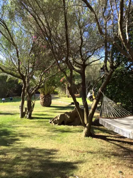Studio charmant à Olbia avec jardin, 35 m², Appartement 2 personnes à Olbia - Photo 15