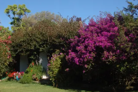 Studio charmant à Olbia avec jardin, 35 m², Appartement 2 personnes à Olbia - Photo 16