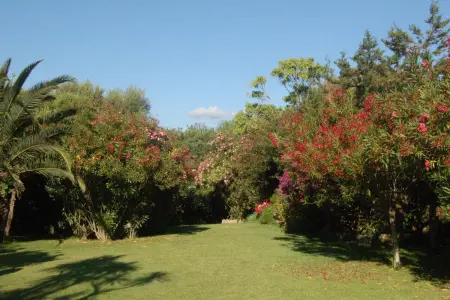 Studio charmant à Olbia avec jardin, 35 m², Appartement 2 personnes à Olbia - Photo 17
