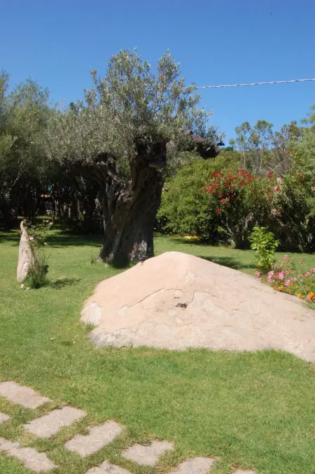 Studio charmant à Olbia avec jardin, 35 m², Appartement 2 personnes à Olbia - Photo 19