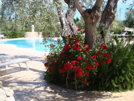 Maison charmante à Vieste avec piscine partagée et terrasse - Photo 34