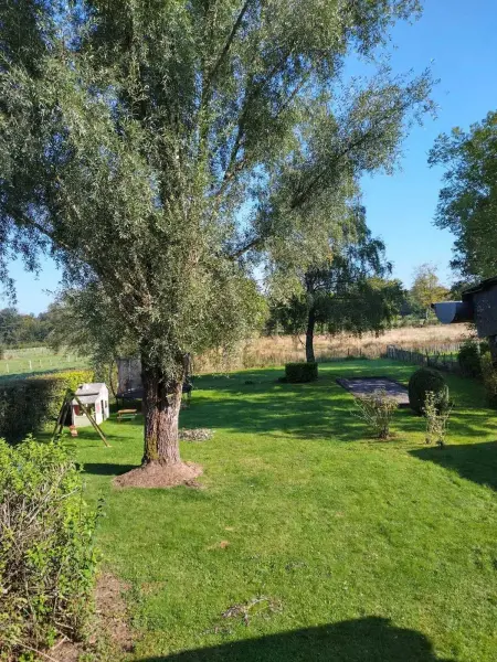 Maison familiale spacieuse à Haut-Fays, 250 m² avec jardin - Photo 19