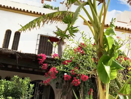 Maison de charme avec vue sur la mer à Marina de Casares + jardin - Photo 26