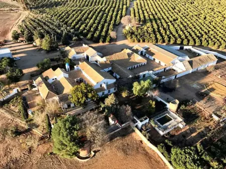 Villa Luxueuse à Córdoba + Piscine, Villa 20 personnes à Córdoba - Photo 7