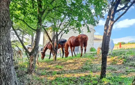 Villa charmante à Divajeu avec piscine privée, Villa 6 personnes à Divajeu - Photo 2