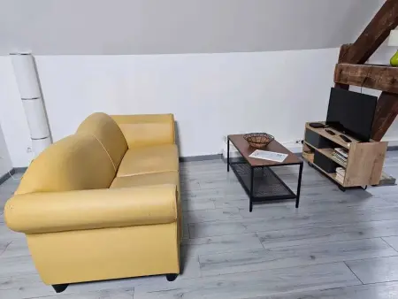 Appartement charmant à Beaugency, 60 m² + Douche moderne - Photo 2