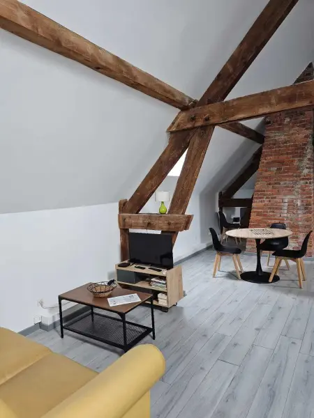 Appartement charmant à Beaugency, 60 m² + Douche moderne - Photo 3