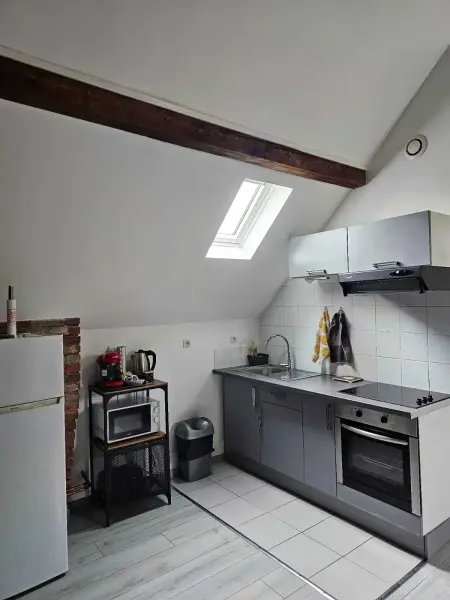 Appartement charmant à Beaugency, 60 m² + Douche moderne - Photo 5