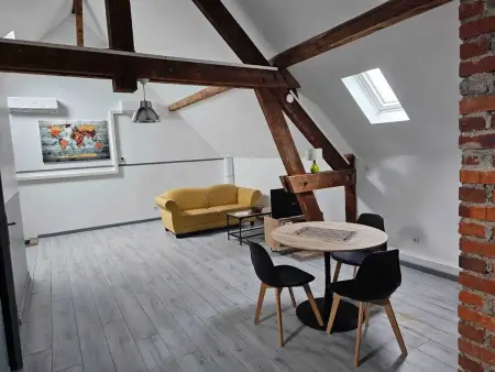 Appartement charmant à Beaugency, 60 m² + Douche moderne - Photo 7