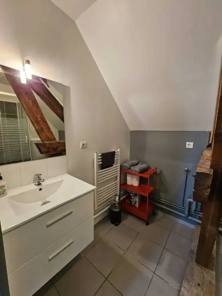 Appartement charmant à Beaugency, 60 m² + Douche moderne - Photo 9