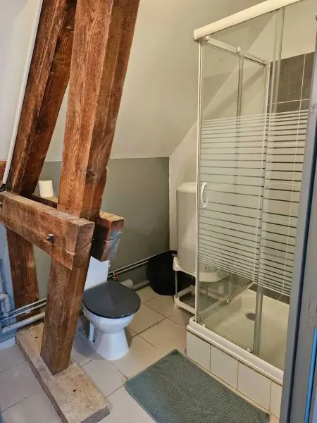 Appartement charmant à Beaugency, 60 m² + Douche moderne - Photo 10