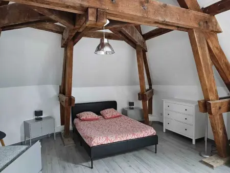 Appartement charmant à Beaugency, 60 m² + Douche moderne - Photo 15