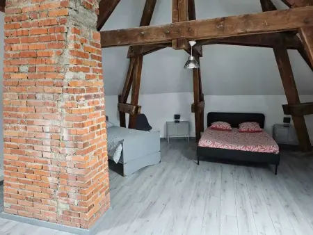 Appartement charmant à Beaugency, 60 m² + Douche moderne - Photo 16