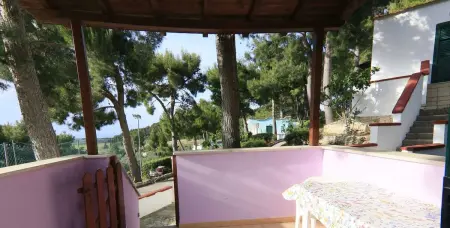 Appartement charmant à Vieste avec piscine partagée de 40 m² - Photo 7