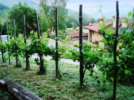 Villa spacieuse Mombarcaro avec piscine privée. - Photo 33