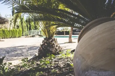 Maison de charme à Estepa avec piscine partagée - Photo 10