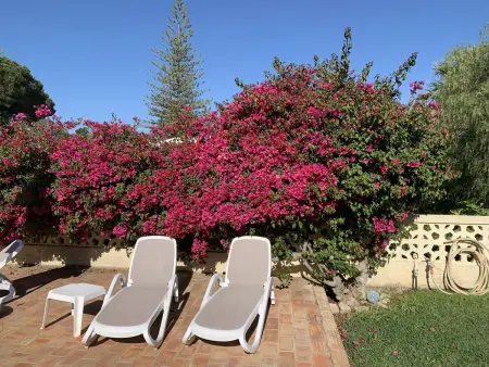 Villa élégante à Vilamoura avec piscine privée. - Photo 31