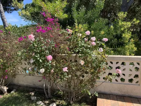 Villa élégante à Vilamoura avec piscine privée. - Photo 34
