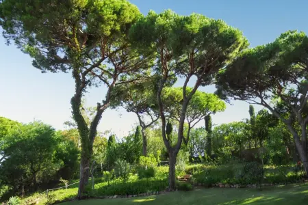 Villa élégante à Vilamoura avec piscine privée. - Photo 37