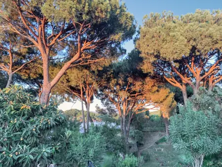 Villa élégante à Vilamoura avec piscine privée. - Photo 39