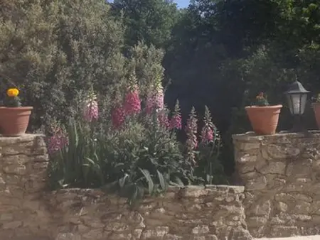 Villa de charme à Malaucène avec piscine privée - Photo 28