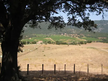 Maison charmante avec jacuzzi et vue sur montagne à Sartène - Photo 11