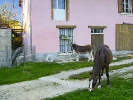 Maison charmante à Chirens avec jardin clôturé - Photo 18