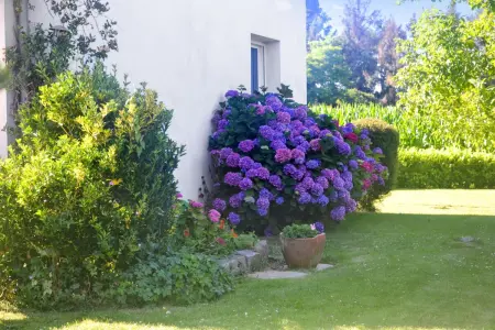 Maison confortable à Trégomeur avec jardin privé - Photo 32