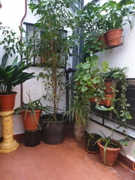 Appartement cosy au centre de Madrid, 45m², avec A/C - Photo 36