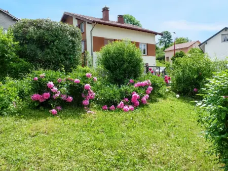 Studio convivial à Gérardmer, 35 m² avec vue sur la montagne - Photo 19