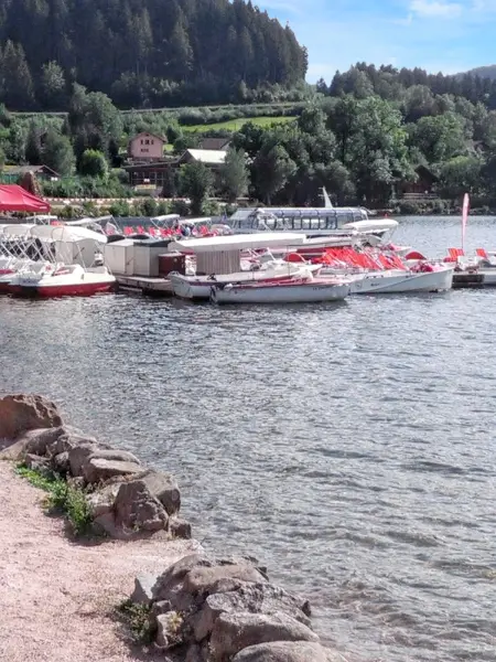 Studio convivial à Gérardmer, 35 m² avec vue sur la montagne - Photo 23