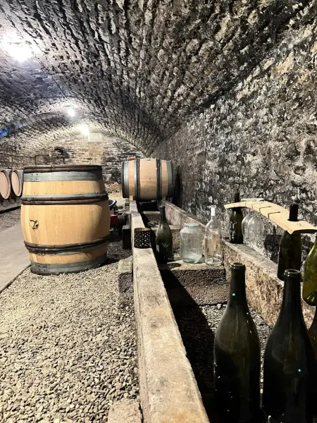 Maison élégante à Meursault avec jardin clos et cheminée - Photo 17
