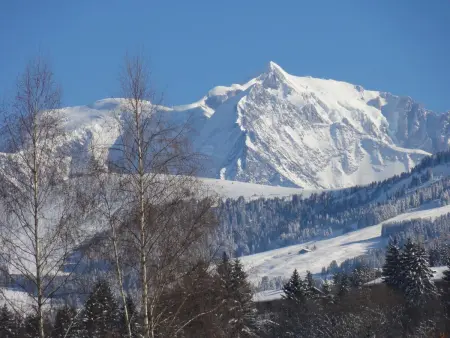 Appartement confortable à Megève - 60 m² - vue sur montagnes - Photo 29