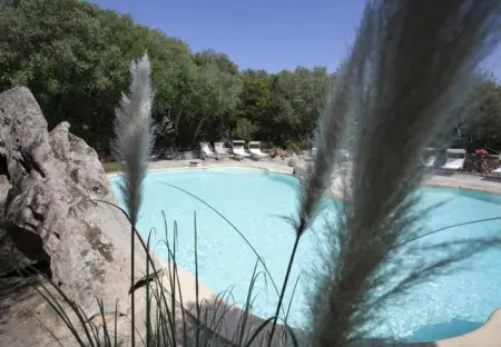 Villa moderne à Olbia avec piscine partagée - 45 m² - Photo 5