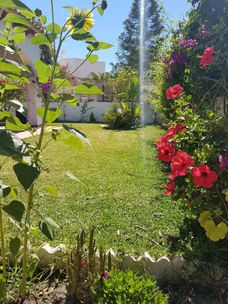 Maison spacieuse avec piscine privée à Vera, 420 m² - Photo 37