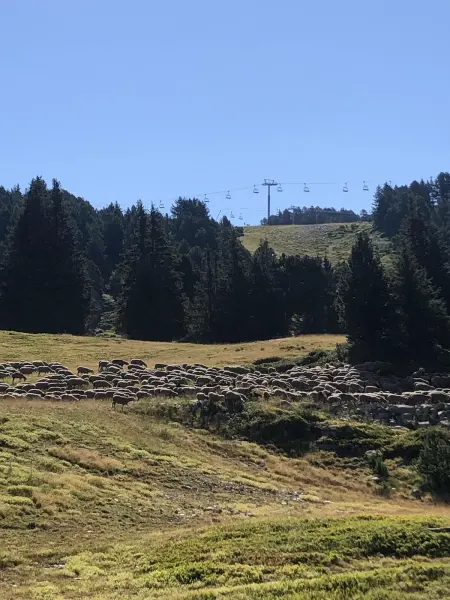 Appartement cosy à Chamrousse avec vue sur montagne + 34m². - Photo 18