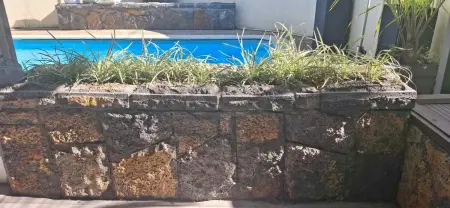 Villa paradisiaque à Grand Baie avec piscine privée - Photo 16
