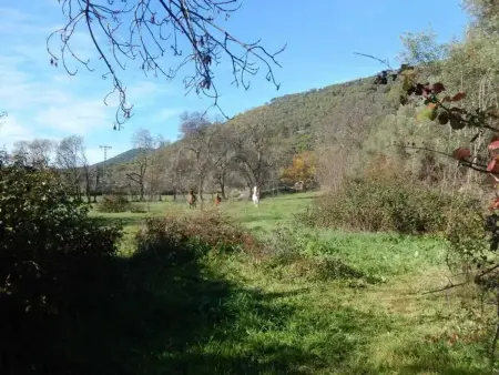 Maison spacieuse à Cenicientos avec vue sur la montagne - Photo 32