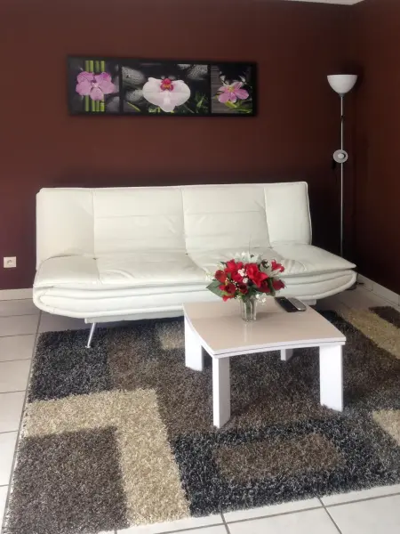 Appartement charmant à Carcassonne avec terrasse - Photo 1
