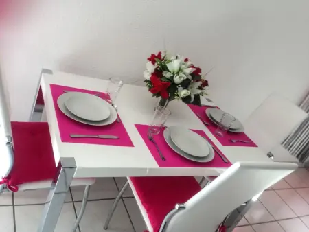 Appartement charmant à Carcassonne avec terrasse - Photo 4