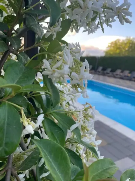 Villa raffinée à Enna avec piscine privée, Maison 14 personnes à Enna - Photo 20