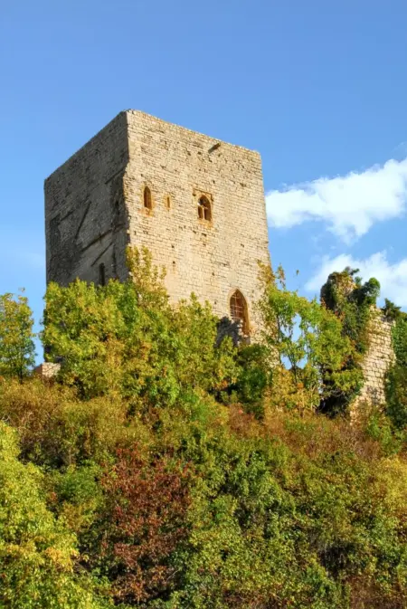 Maison de campagne avec vue sur la montagne à Puivert. - Photo 13
