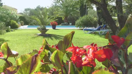 Maison chaleureuse à Orange avec piscine privée - Photo 4